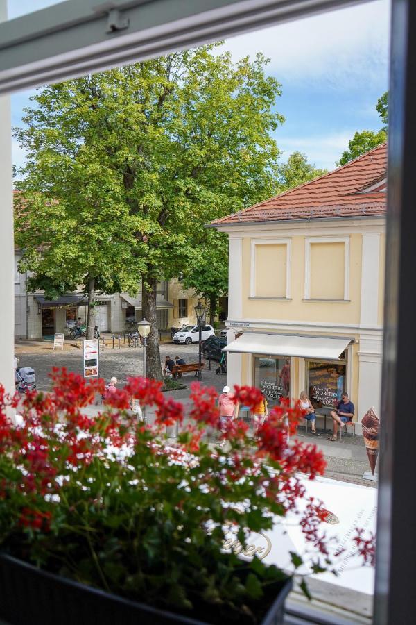 Cafe Alice & Pension Gmbh Potsdam Exterior foto